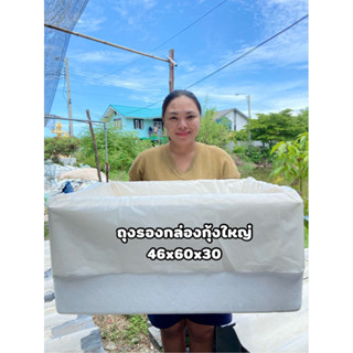ถุงรองกล่องกุ้งสีขาว46x60x30(แบบสวม)