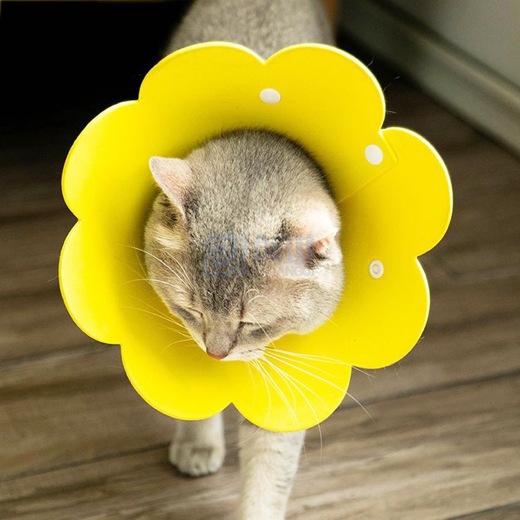 คอลล่าแบบโฟม น่ารัก มี4ไซส์ XS,S,M,L **สินค้าพร้อมส่ง** - รูปที่ 4