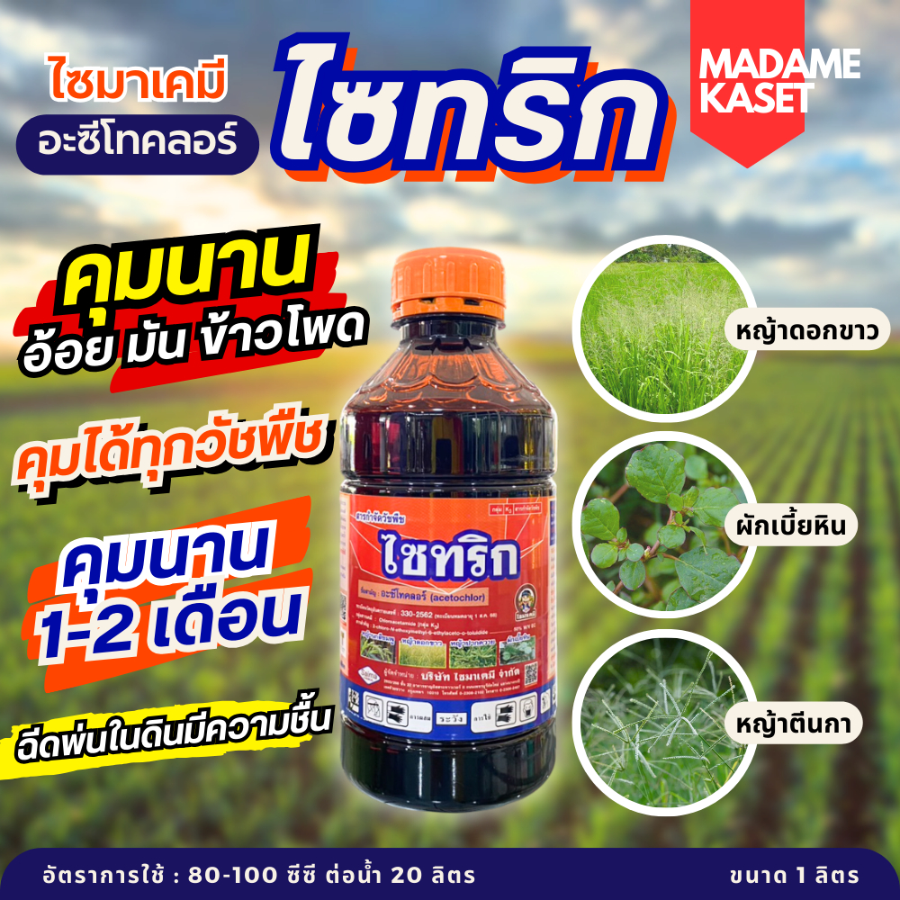 ไซทริก (อะซีโทคลอร์) คุมได้นาน 1-2เดือน อ้อย มัน ข้าวโพด ได้ทุกวัชพืชในพืชไร่ หญ้าดอกขาว หญ้าปากควาย ผักโขม (1 ลิตร)
