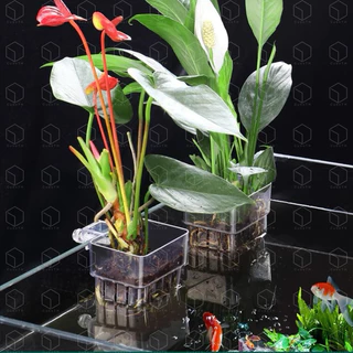Water grass cup ถ้วยปลูกต้นไม้แบบแขวนข้างตู้ปลา ถ้วยปลูกไม้น้ำ