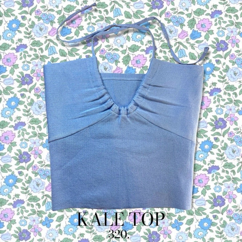 Used mtn selected Kale Top - Baby blue