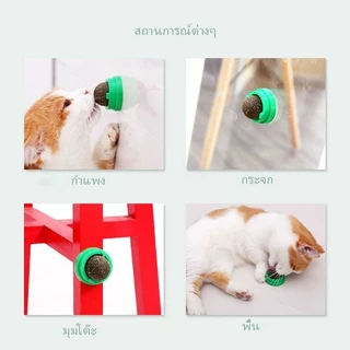 【CAT&DOG】55 บาท 5 ชิ้นแคทนิปบอล บอลแมวเลีย แคทนิปแมวเลีย กัญชาแมว ขนมแมวเลีย ของเล่นแมวเลีย