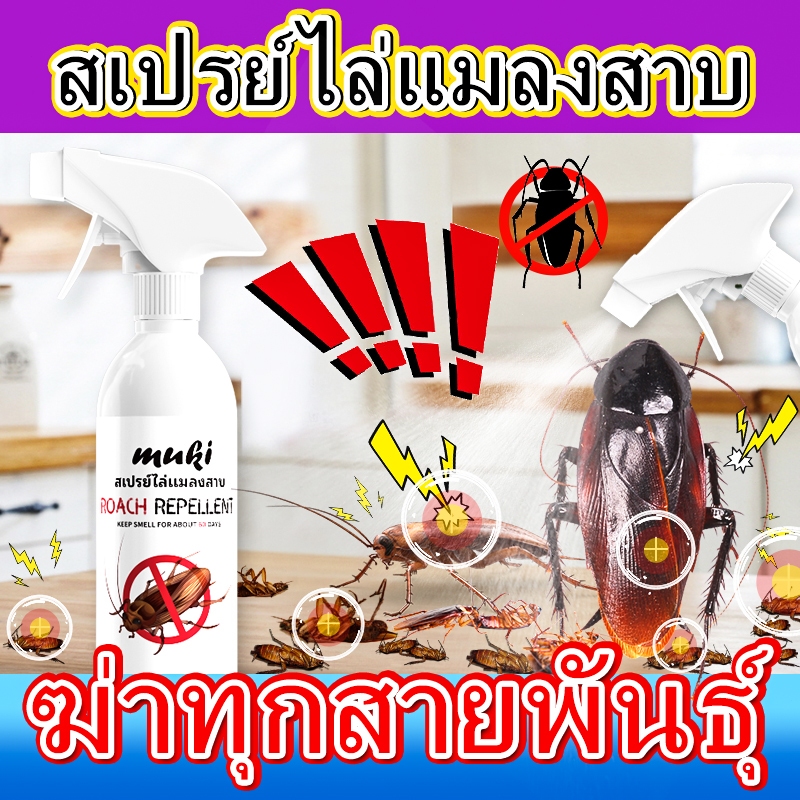 กำจัดแมลงสาบ 500ml รวดเร็ว มีประสิทธิภาพ แมลงสาบตายทั้งรัง ฆ่าแมลงสาบ ที่ไล่แมลงสาบ ที่ดักแมลงสาบ ไล่แมลงสาบ แมลงสาบ
