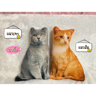 🌈ตุ๊กตาหมอนพิมพ์ลายแมว หมอนแมวเหมียว ภาพสีคมชัด พิมพ์ลาย2ด้าน ขนาด 50cm./60cm. มีหลายลายให้เลือกเลื่อนดูได้เลยค่า💗