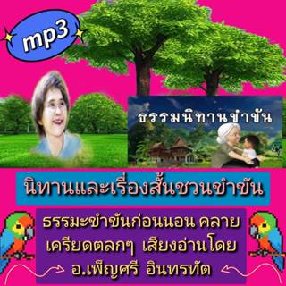 [พรเทวะ] แฟลชไดร์ฟ USB  Mp3  นิทานและเรื่องสั้นชวนขำขัน ธรรม…