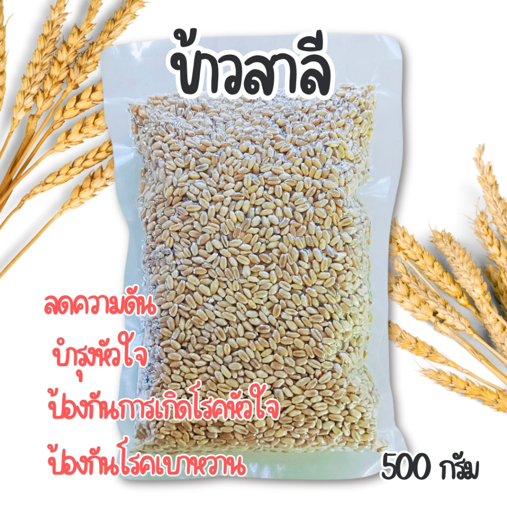 ข้าวสาลีดิบ ข้าวเพื่อสุขภาพ 500 กรัม