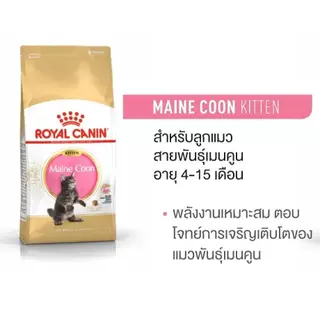 [แบ่งขาย] อาหารแมว Royal canin Kitten Maincoon ลูกแมวพันธุ์เมนคูน อายุ 4-12เดือน 500g 800g 1kg อาหารแมวรอยัลคานินแบบแบ่ง