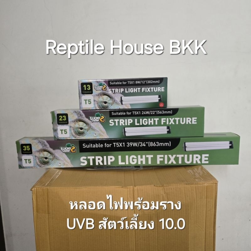 หลอดพร้อมรางไฟ UVB T5 ขนาด 30cm 60cm 90cm สำหรับสัตว์เลี้ยง