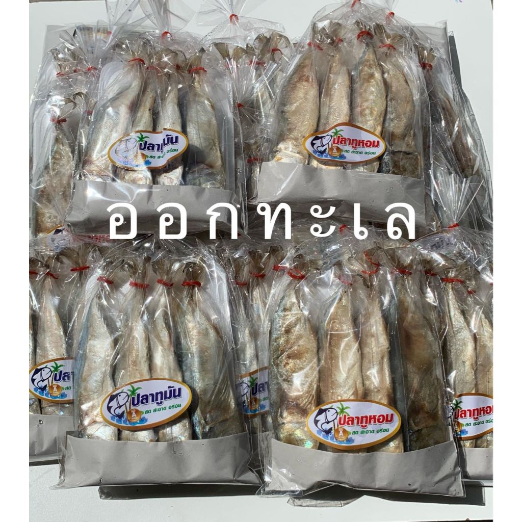 ปลาทูมัน ปลาทูหอม 4 ตัว ขนาดกำลังดี ทอดง่าย ย่างง่าย อร่อยมาก