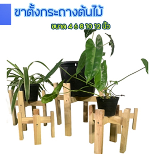 ขาตั้งกระถางต้นไม้ มินิมอล ขนาด 4”6”8"10”12” ไม้สนนอก ราคาถูก วางกระถางต้นไม้ได้ทุกรูปแบบ พร้อมส่ง