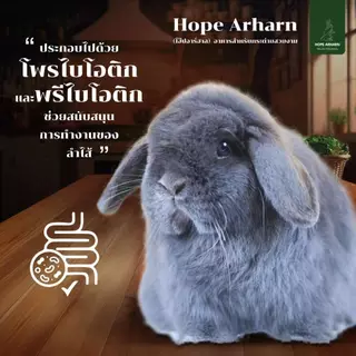 Mayl (มายล) Hope Arharn อาหารกระต่ายสำหรับทุกช่วงวัย ขนาด 1 kg.