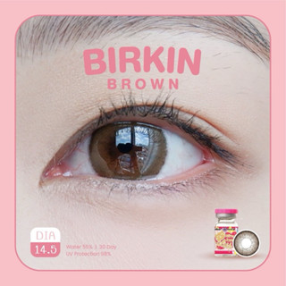 Birkin brown 🩷 ตาหวานน่ารัก คอนแทคเลนส์(มินิ) อมน้ำ55%💧Kitty…