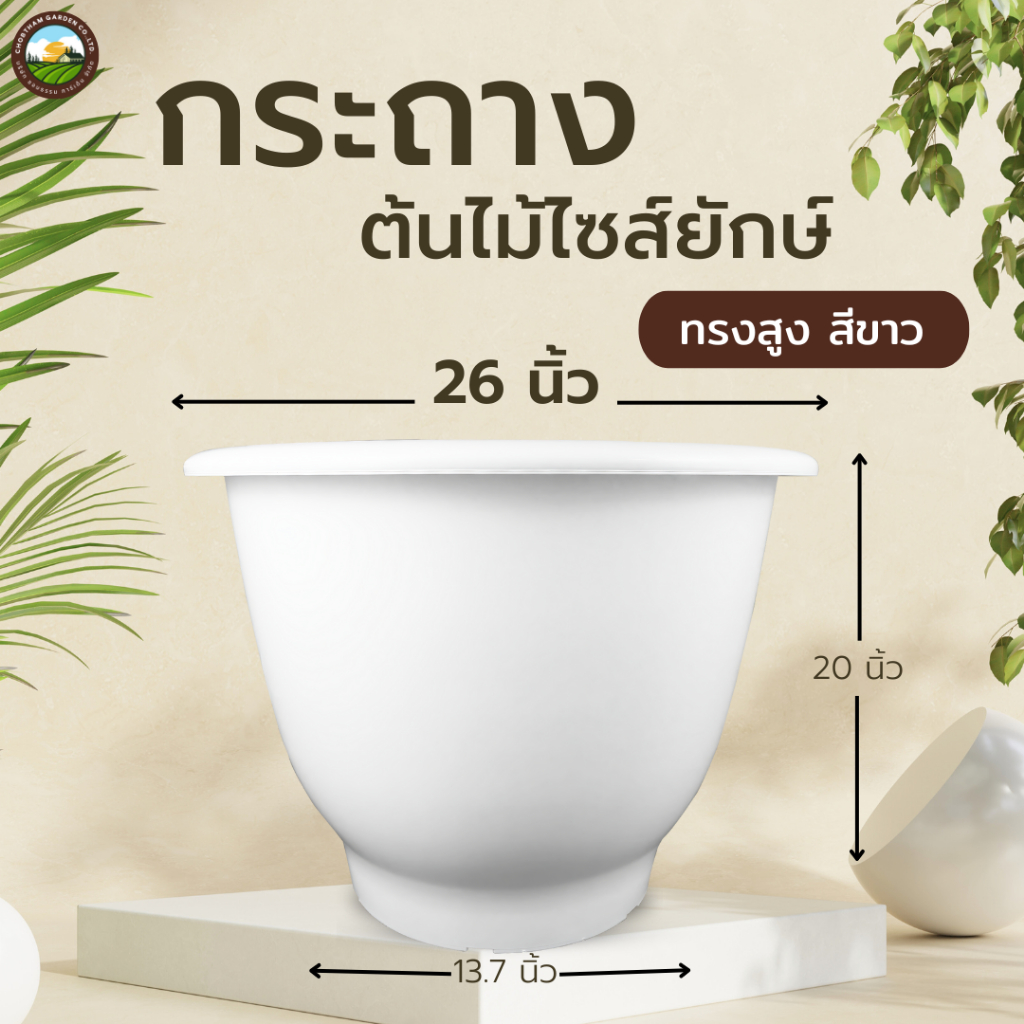 กระถาง 26 นิ้ว  กระถางไซร์ยัก อ่างบัว หนาพิเศษ ทรงสูง