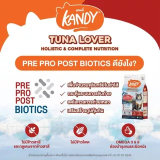 Kandy แคนดี้ อาหารแมวโฮลิสติก สำหรับแมวทุกช่วงวัย กลูเตนฟรี ไม่เติมเกลือ เสริมภูมิคุ้มกัน ขนาด 1.5kg