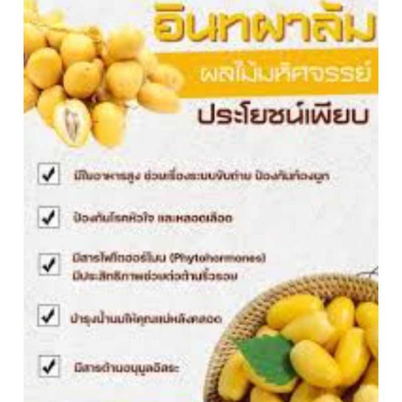 อินทผลัมสด 1 กก.บรรจุกล่อง สดใหม่เนื้อแน่นกรอบหวานอร่อย รูปที่ 2
