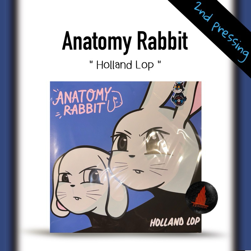 แผ่นเสียง Anatomy Rabbit