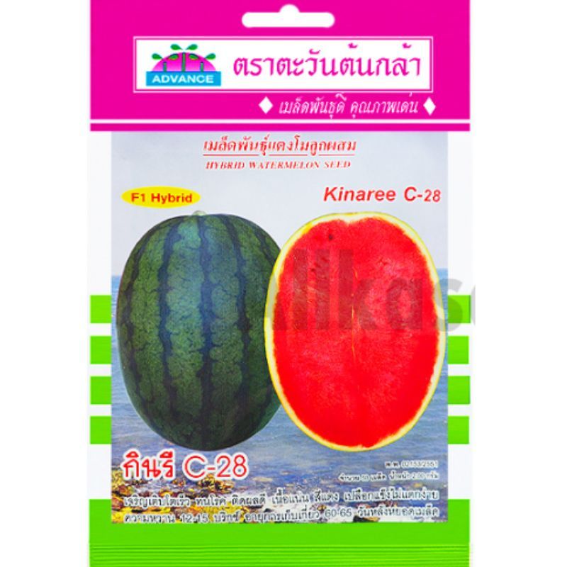 เมล็ดแตงโมลูกผสม กินรี C-28