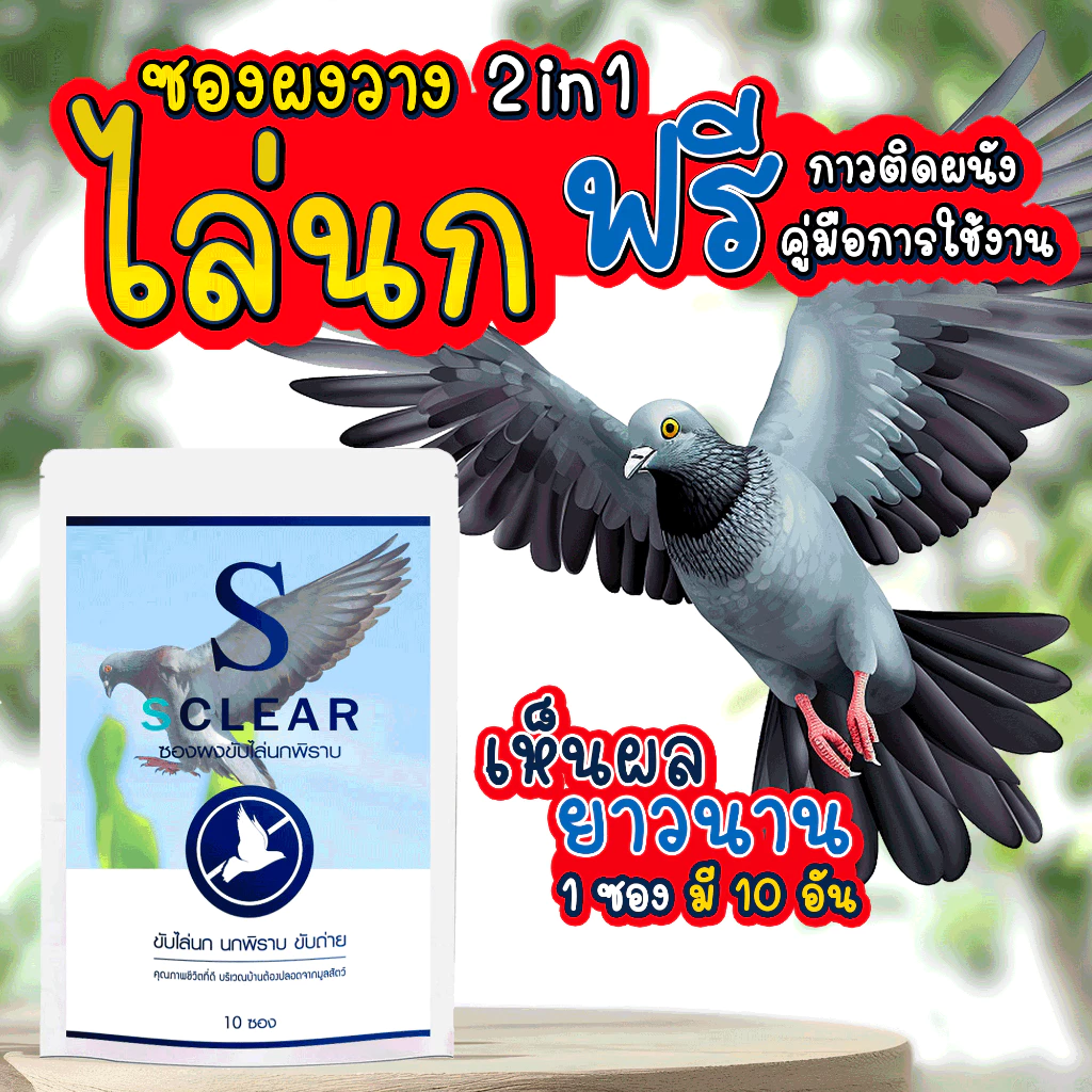 ไล่นก SClear ที่วางไล่นกพิราบ 2in1 ฟรี กาวติดให้ซองอยู่กับที่ ไล่นก ไล่อีกา ไล่นกพิราบ ส่งทุกวัน