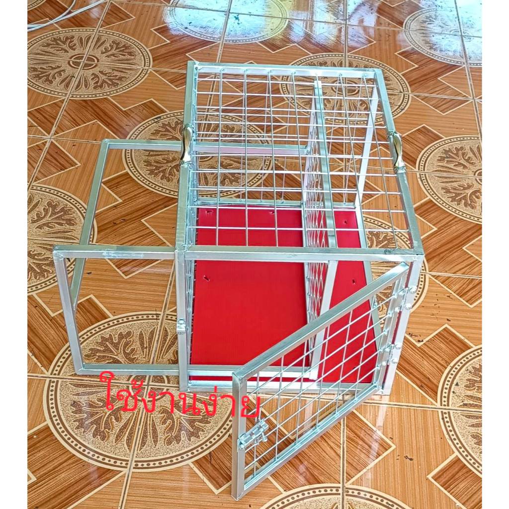 กรงฉีดยาแมว กรงพยาบาลแมว และสัตว์อื่นๆกรงนี้จะมีหูจับเพื่อความสะดวกในการยก และจะปูพื้นเหยียบให้ด้วยเพื่อกันขาแมวตกช่อง - รูปที่ 7