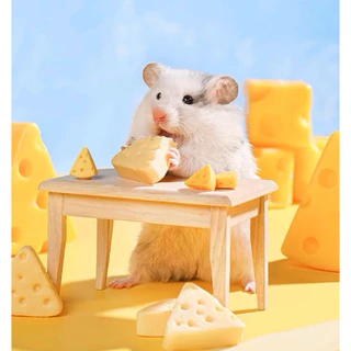 Hambit. ขนมชีสเค้ก สำหรับแฮมเตอร์ ชูการ์ไกร์เดอร์ เม่น ดอร์เม้าส์ เหมาะสำหรับสัตว์เลี้ยงฟันแทะทุกชนิด ชีสจากนมแพะ