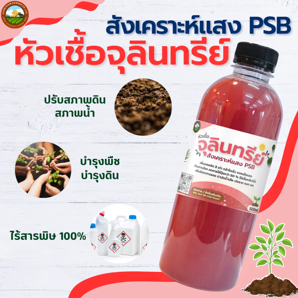 (เซต 2 ขวด ) หัวเชื้อ จุลินทรีย์สังเคราะห์แสง PSB สูตรเข้มข้น หัวเชื้อแท้ 100% เร่งราก ดอก ผล ดก