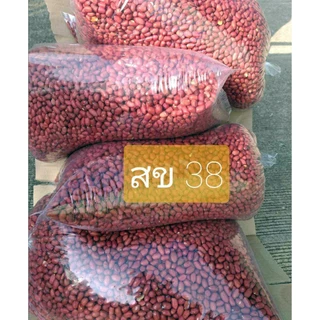 เมล็ดพันธ์ุ ถั่วลิสง เปลือกแดง พันธุ์ สข 38 รุ่น ฝักยาว คัดเมล็ด สำหรับปลูก ขา่ยเป็นกิโลกรัม