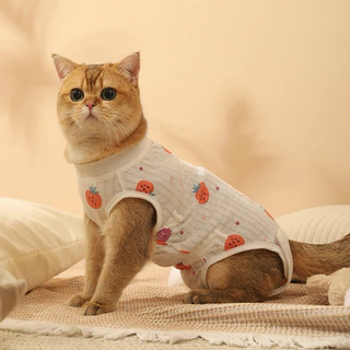 [🚚 พร้อมส่ง] ชุดกันเลียสัตว์เลี้ยง ป้องกันเลียแผลหลังผ่าตัด Strawberry Cat Sterilization Suit เสื้อทำหมัน