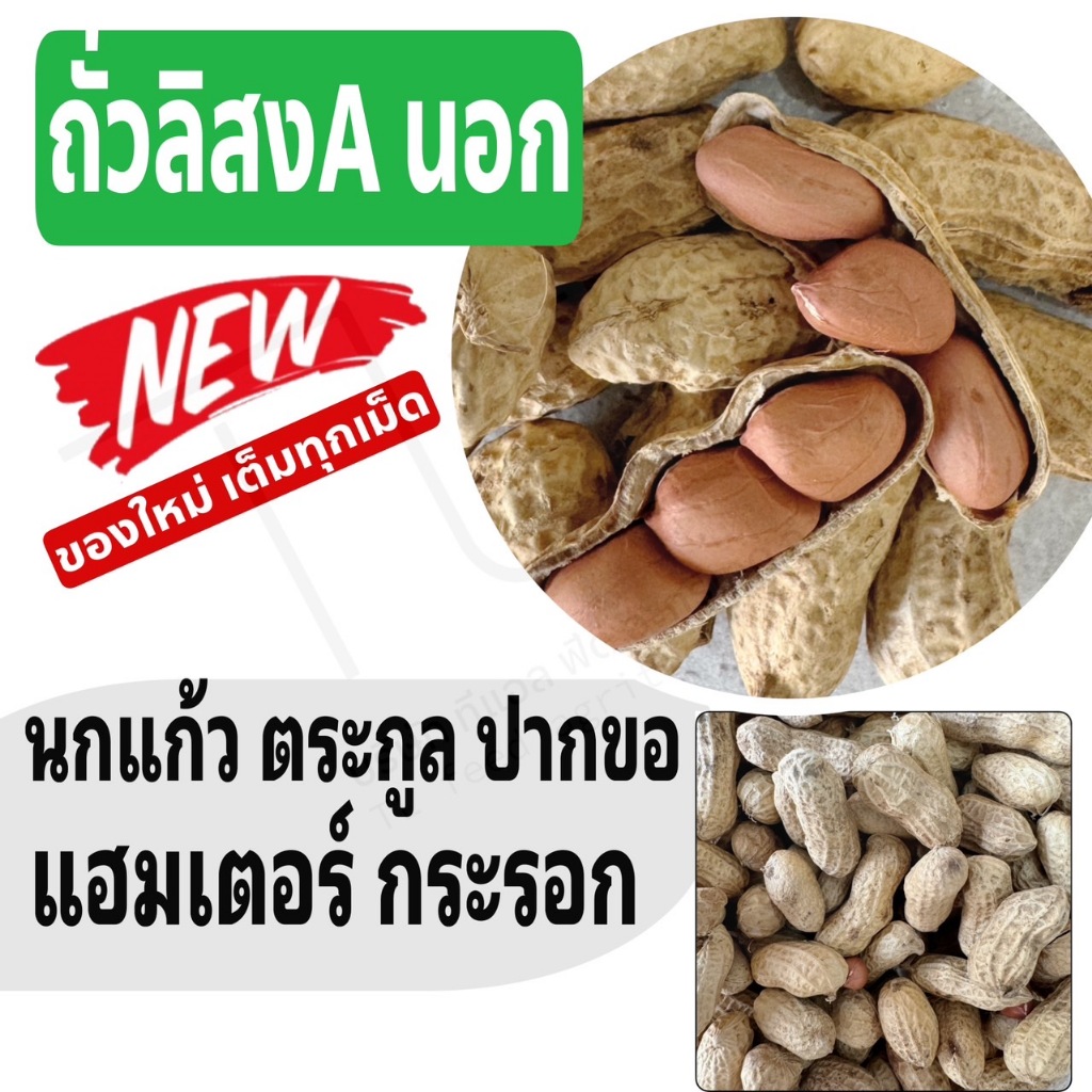 ถั่วลิสง Peanut เกรดA นำเข้า สำหรับนกแก้วขนาดกลาง-ใหญ่ แฮมสเตอร์ กระรอก กระแต (แบ่งขาย 250G / 500G / 1KG)