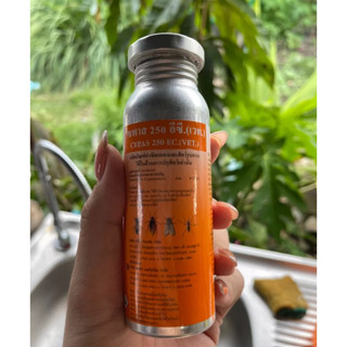 ไซพาส 250 อีซี Cypas 250 EC น้ำยาพ่นยุง ยาพ่นควัน กำจัดเห็บ …