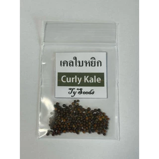 เมล็ดพันธุ์ เคลใบหยิก 100 เมล็ด [ 10แถม2 ]คละได้