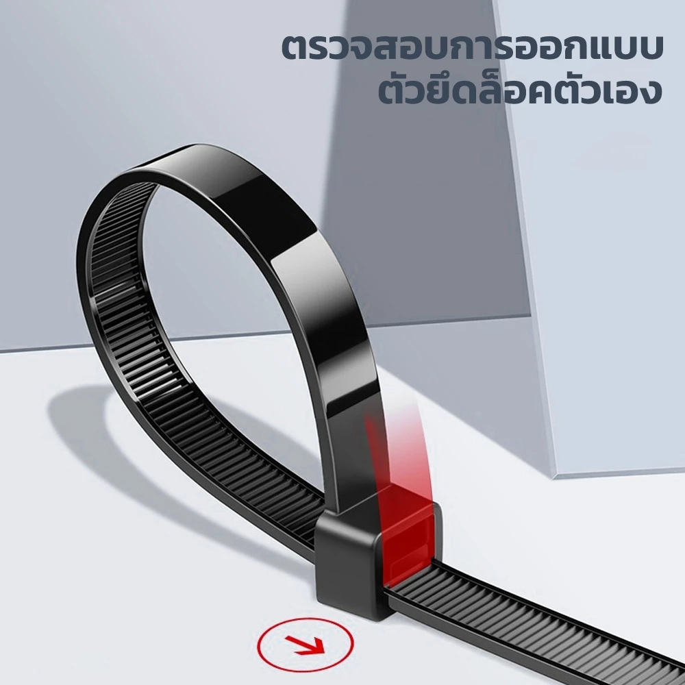 Mitsushi Cable Tie Nylon 100เส้น สีขาว/สีดำ thumbnail 6