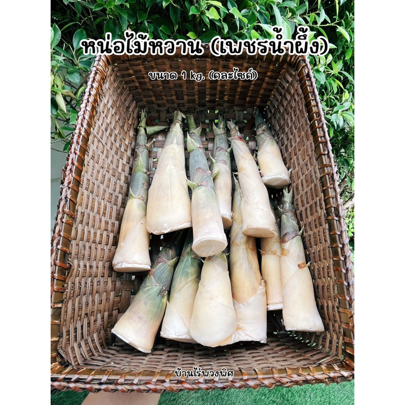 🌿หน่อไม้หวานเพชรน้ำผึ้ง🌿ขนาด 1 กก.