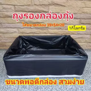 ถุงรองกล่องกุ้ง ถุงรองกล่องโฟม ถุงรองกล่องปลูกผัก ไฮโดรโปนิกส์ ขนาดพอดีกล่อง ไม่ต้องมัด