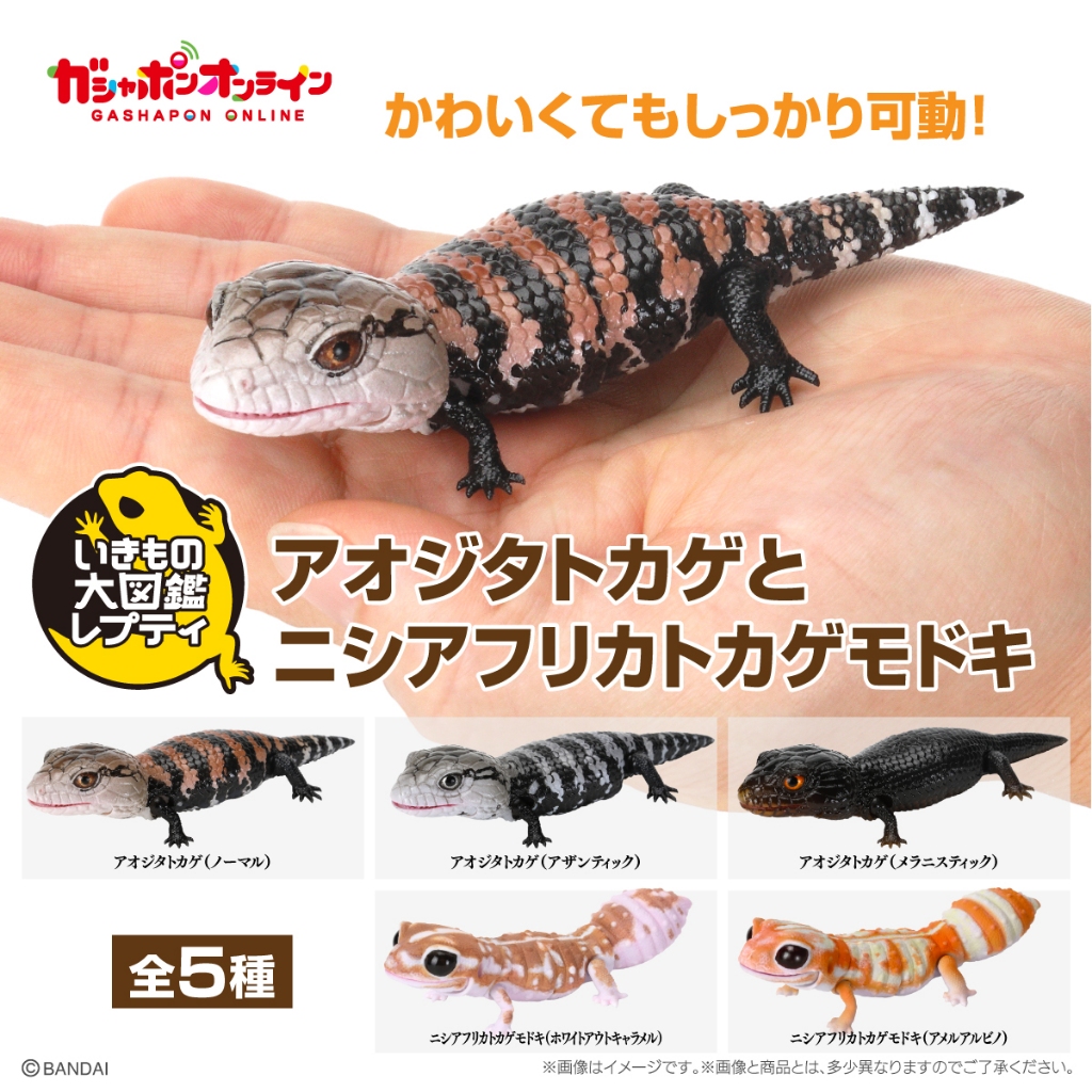 แยก Bandai Gashapon Blue-tongued Skink Fat Tailed Gecko ตุ๊กแก กาชาปอง Ikimono Encyclopedia