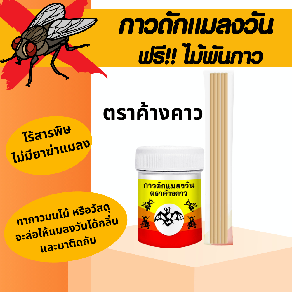 ใช้ดีมาก ✅ กาวดักแมลงวัน ที่ดักแมลงวัน ไม้ดักแมลงวัน มีก้านแถม ตราค้างคาว