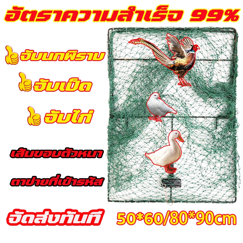 กับดักไก่แบบตาข่าย กับดัก โครงเป็นเหล็ก สปริงอย่างดี ตาข่ายในล่อน ดักนก ไม่หลุดใช้งานได้หลายปี
