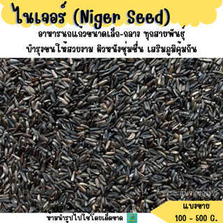 ไนเจอร์ (Niger Seed)  (แบ่งขาย 200-500G.) อาหารนกขนาดเล็ก-กล…