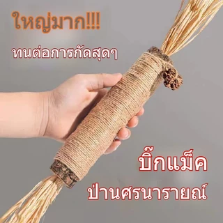 PET LIFE ไม้แมวเมา อันใหญ่ ไม้ขัดฟันแมว ของเล่นแมว ลดคราบหินปูน กัญชาแมว ของเล่นทำความสะอาดฟันแมว หวายทำความสะอาดฟัน