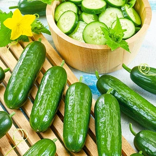 แตงกวา📌ทุกสายพันธุ์🎯ถูกที่สุด10บ.🎯เมล็ดพันธุ์แตงกวา3-10 เมล็ด☘️ปลูกง่าย👉โตเร็วที่สุด☘️ลูกดก