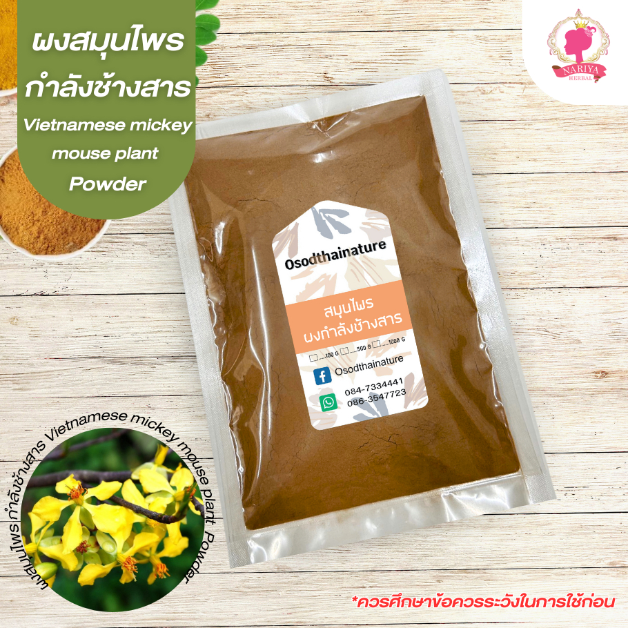 สมุนไพรผงกำลังช้างสาร Vietnamese Mickey Mouse Plant (ผงสมุนไพร) บดละเอียด ขนาด 100 500 1000 กรัม สมุนไพรแท้ 100%