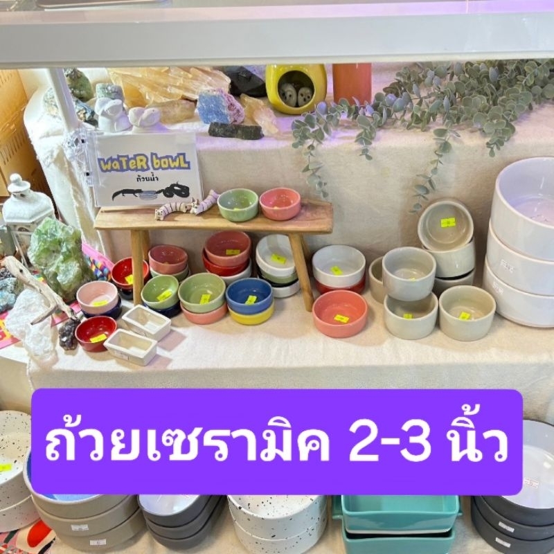 [ส่งด่วน] ถ้วยน้ำเซรามิค 2-3 นิ้ว Ceramic Bowl ถ้วยอาหาร ถ้วยแคลเซียม (แจ้งสีถ้วยทักแชทเท่านั้น!)