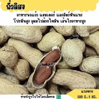 ถั่วลิสง (แบ่งขาย 200-500G.) อาหารนกแก้วขนาดกลาง-ใหญ่ แฮมสเตอร์ กระรอก กระแต