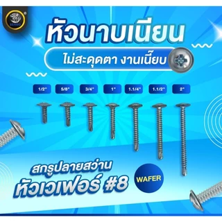 Sendo สกรูปลายสว่าน หัวเวเฟอร์ หัวร่ม wafer #8 (500-1,000ตัว) สกรู SENDO