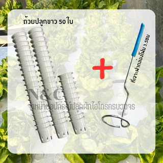 ถ้วยปลูกขาวไฮโดรโปนิกส์พร้อมที่เจาะ1 ฟองน้ำ1 ที่คีบ1
