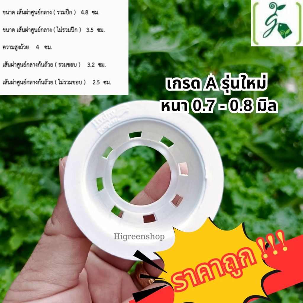 ถ้วยปลูกสีขาว (ใช้ซ้ำ) เกรด A (รุ่นใหม่) หนา 07-0.8 มิล ราคาถูกมาก สีขาวไม่ดูดความร้อน