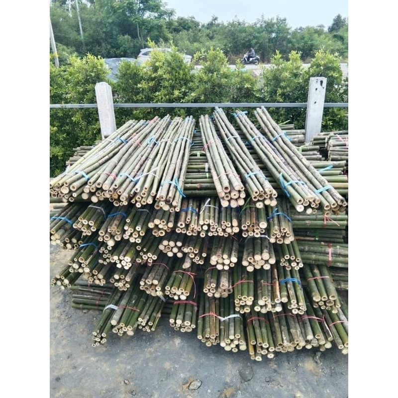 ไม้ไผ่ลำ/ปักค้ำต้นไม้/ขนาด200ซม./มัดละ20ลำ