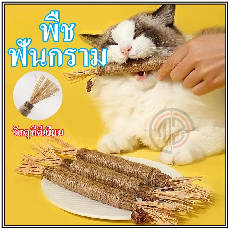 ไม้แมวเมา อันใหญ่ ไม้ขัดฟันแมว ของเล่นแมว ลดคราบหินปูน กัญชาแมว ของเล่นทำความสะอาดฟันแมว หวายทำความสะอาดฟัน