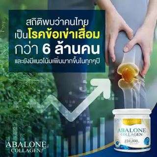 [Abalone Collagen] โปร 3 กระปุกใหญ่ 210g. คอลลาเจนหอยเป๋าฮื้อ ช่วยบำรุงกระดูก ข้อเข่า เสริมคอลลาเจน