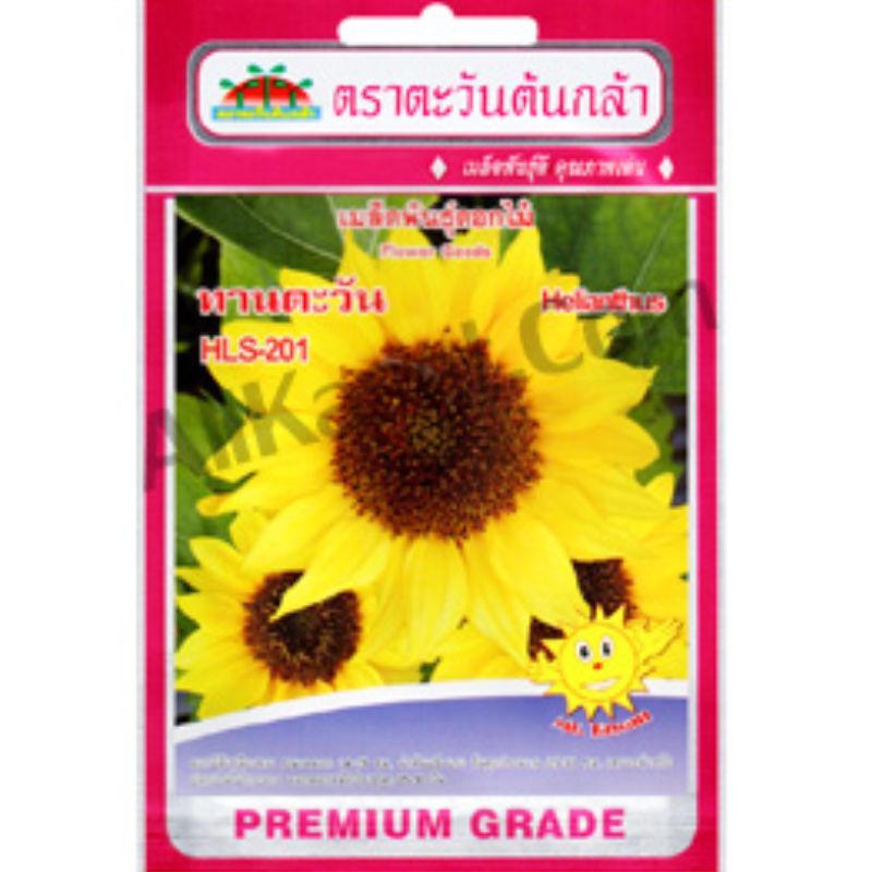 เมล็ดทานตะวัน HLS-201