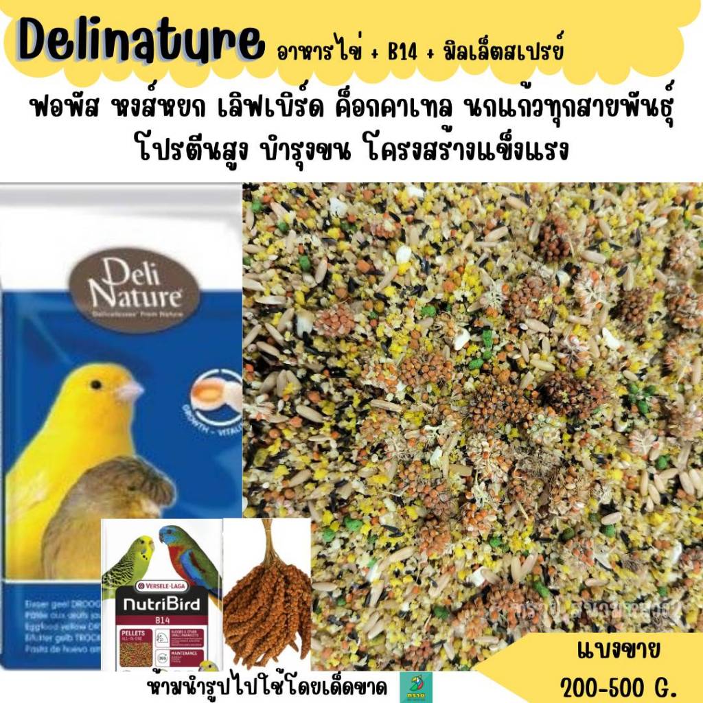 Delinature อาหารไข่ เสริมทั้งแม่และลูก (200-500G.) อาหารนก อาหารเเสริม สำหรับนกแก้วขนาดเล็ก-กลาง